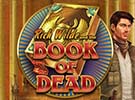 Book of Dead – slotin arvostelu
